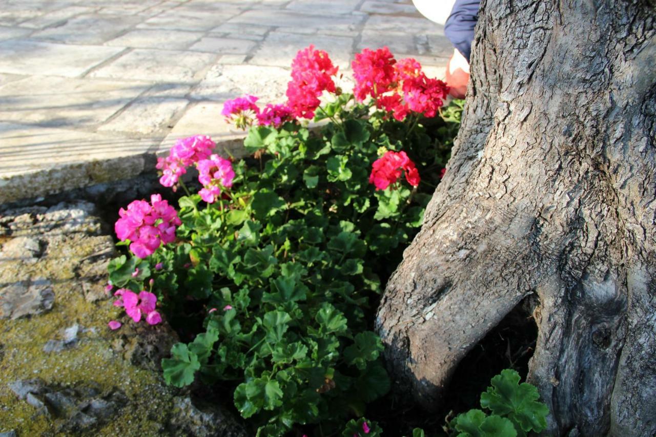 Stone Rose Villa Ágios Ioánnis Екстериор снимка